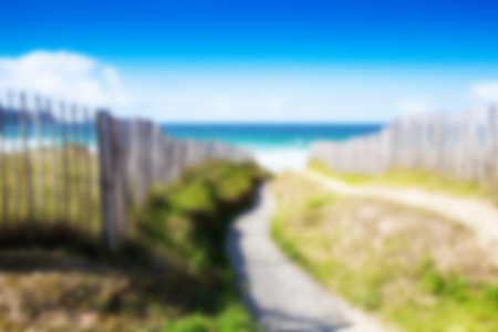 wild lansdcape background with intentionally blur effectの写真素材