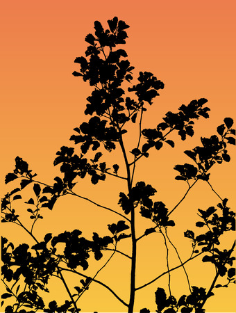 Treeのイラスト素材