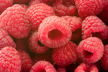 background of fresh and appetizing raspberries. raspberry berriesの写真素材