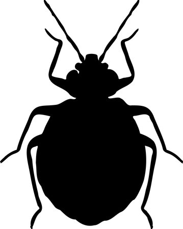 Hand drawn Bedbug black silhouette