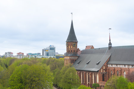 View of Kaliningrad or Konigsberg Cathedral is a Brick Gothic style monument in Kaliningrad, Russia, located on Kant island.の写真素材