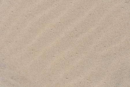 Sand texture. Brown sand. Abstract backgroundの写真素材