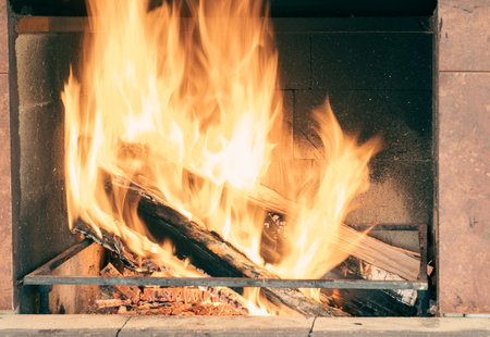 Burning firewood in the fireplace insert. Rustic cooking hearth with burning logs.