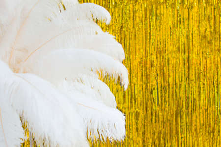 White ostrich feathers on gold texture background, 20s in luxurious retro flat lay creative concept. Roaring 1920s style. Art deco style new year party, birthday with golden decorations.の写真素材