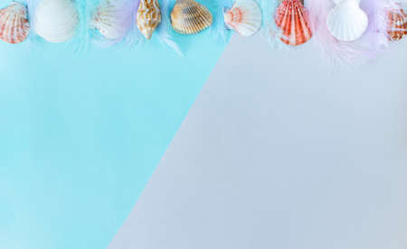 Summer banner background. Seashells on a minimal gray-blue background. Place for your text....