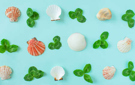 Summer background. Seashells and green leaves of clover on a minimal blue background. Place for your text. Copyspaceの写真素材