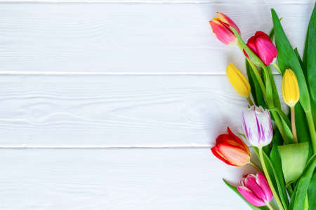 Colorful tulips flower composition over white wooden table background with copy space. Love, Mothers day, Womens day and spring time flower background. Spring nature background.の写真素材