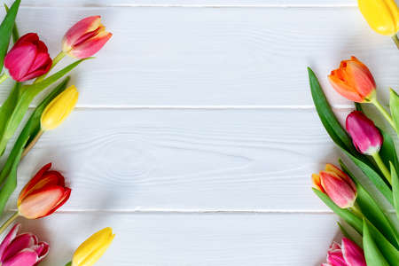 Colorful tulips flower composition over white wooden table background with copy space. Love, Mothers day, Womens day and spring time flower background. Spring nature background.の写真素材