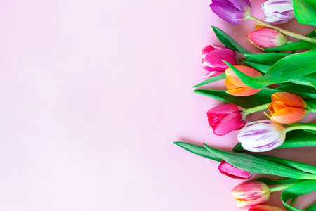 Colorful tulips flower composition over white wooden table background with copy space. Love, Mothers day, Womens day and spring time flower background. Spring nature background.の写真素材