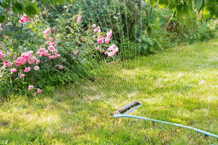 Lawn sprinkler spaying water over green grass on a sunny day. Irrigation systemの写真素材