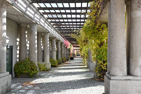 Garden in the city of Wroclaw, Polandの写真素材