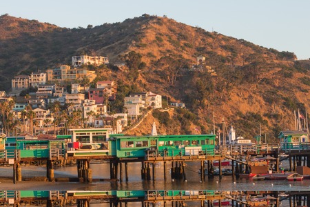 Catalina Island vacation resort, Avalon, California, green pleasure pier reflected in calm ocean, colorful houses perched on hillside, bell tower visible, blue skyのeditorial素材