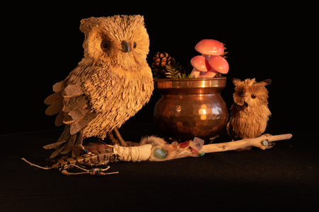 Copper cauldron with mushrooms and pine cones, a magic wand with quartz and amethyst crystals and an owl mother and child made from natural materialの写真素材