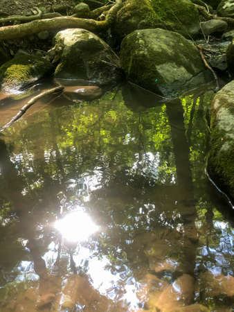 Abstract close up of forest and blue sky reflected in flowing stream