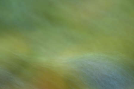 Abstract long exposure image of a forest stream flowing over stones.