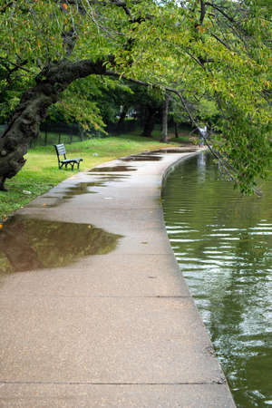 Empty bench along walkway with overhanging branch, lone man walks away