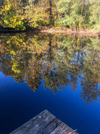 wooden dock in foreground of reflected forest in lakeの写真素材