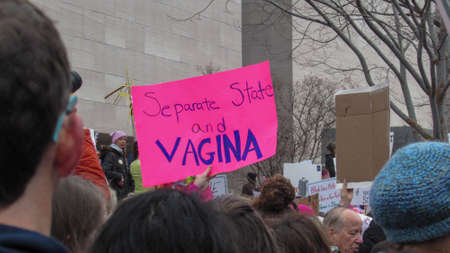 Womens March on Washington pink hats and protest signs: Separate State and Vaginaのeditorial素材