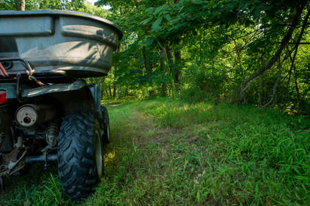 close up of off road vehicle in the woods, lush green foliage and copy space