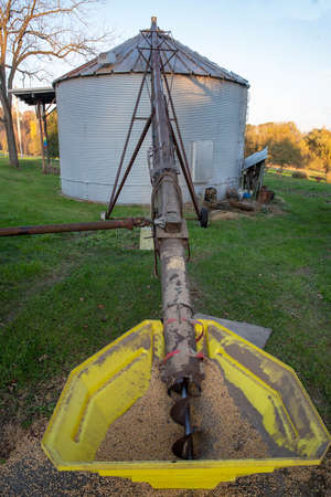 vertical agricultural equipment image with yellow hopper of harvested soybeans in green grass with...