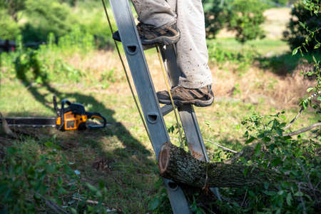 Closeup of man's feet climbing an outdoor ladder with a chainsaw in the background and cut tree...