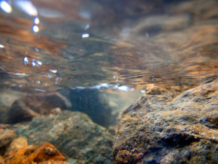 Colorful underwater scene of clean Pennsylvania streamの写真素材