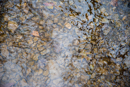 gentle rippling water in flowing stream over colorful stone bottom.