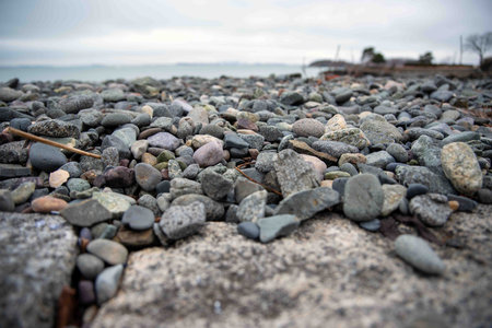 Closeup high angle view of smooth gray and colored stones on a New England beach, great texture and nuanced colors with brooding moody coloration and feeling. No people, with copy space.の写真素材