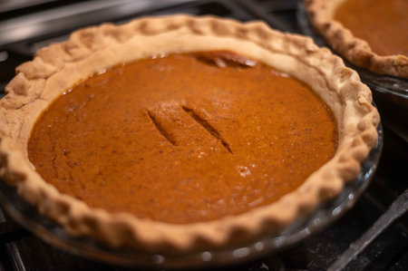 Perfect homemade pumpkin pie with perfect crust hand crimped edges and two test cut marks. Selective...