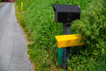 Mailbox off center in tall grass on a quiet country roadの写真素材