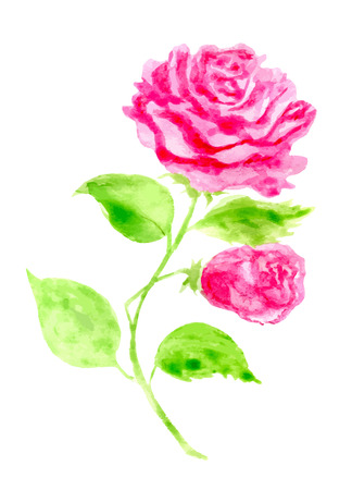 Hand drawn Rose. Vector illustration for greeting cards, invitations, other printing and web projects.のイラスト素材
