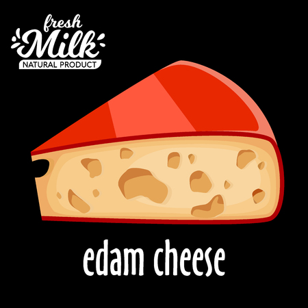 cut piece of cheese edam vector isolated on black backgroundのイラスト素材
