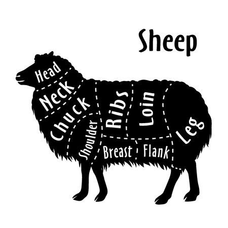 Cut of sheep, diagram for butcher. Poster for butcher shop. Guide for cutting. Vector illustration.のイラスト素材