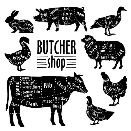 Cut of meat, diagram for butcher. Poster for butcher shop. Guide for cutting. Vector illustration.のイラスト素材