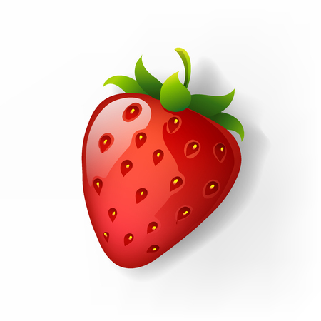 Strawberry vector isolated on white background, red berry vector illustrationのイラスト素材