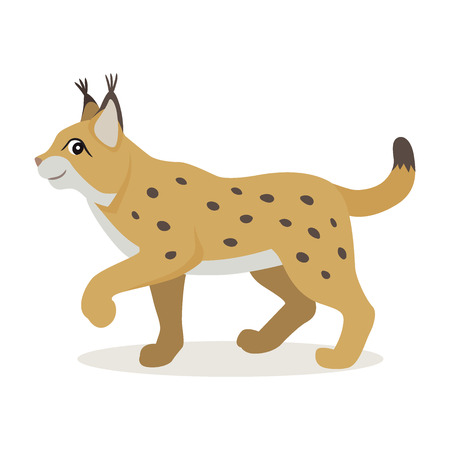 Friendly forest animal, cute yellow lynx icon, woodland beast, vector illustration isolated on white backgroundのイラスト素材