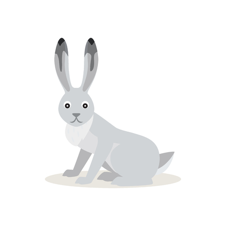 Icon of funny cute White Snowshoe Hare or rabbit isolated, forest, woodland animal, vector illustration for children book or decorationのイラスト素材