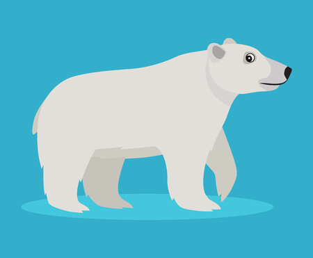 Cute big polar white bear icon, isolated on blue background, big furry beast, vector illustration in flat styleのイラスト素材