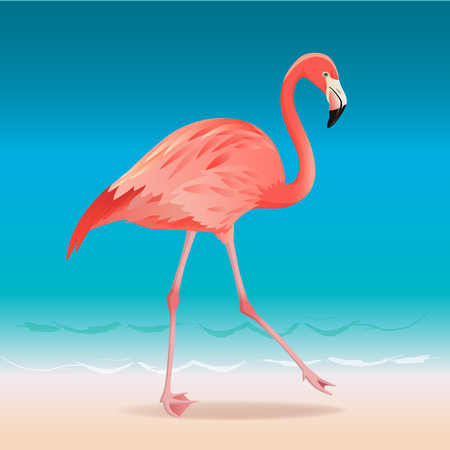 Exotic pink flamingo walking on the hot summer beach. Pink flamingo vector illustrationのイラスト素材