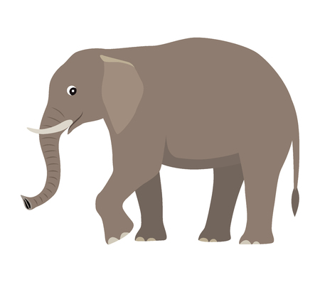 Cartoon cute wild animal, big gray elephant, vector illustration isolated on white backgroundのイラスト素材