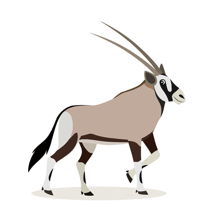 African animal, cute oryx antelope, gazelle isolated on white background, vectorのイラスト素材