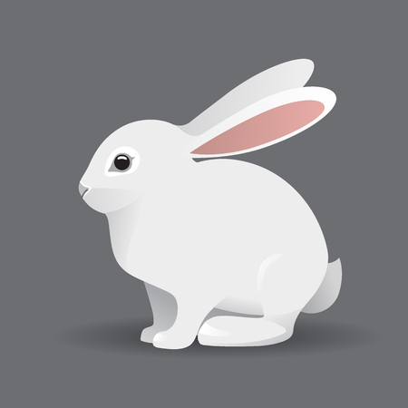 Cute White bunny Rabbit Cartoon flat style Vector Illustrationのイラスト素材