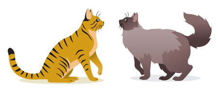 Smooth coated tabby cat with long tail icon, cute gray pet, domestic animal, vector illustration in flat styleのイラスト素材