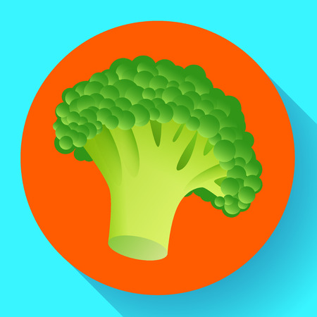 Fresh broccoli icon. Realistic illustration of fresh broccoli vector iconのイラスト素材