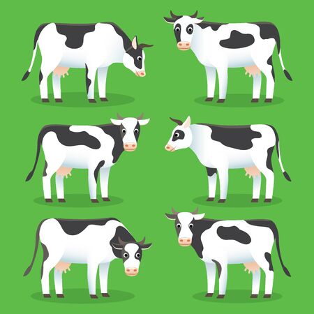Farm animals cows isolated on green background. Set of white and black cows in flat styleのイラスト素材