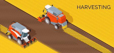 Harvesting concept, combine, agriculture machine on field, cut grain crop, processing of grain, vector illustrationのイラスト素材