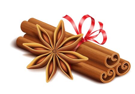Realistic spices for Christmas mulled wine or coffee drinks, cinnamon sticks and anise star isolated on white background, vector illustrationのイラスト素材