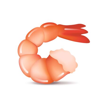 Realistic shrimp icon in flat style, fresh sea food. Isolated on white background. Vector illustration.のイラスト素材