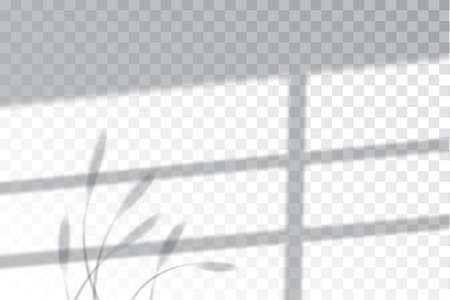 Shadow, overlay effects mock up, window frame and leaf of plants, natural light, vector illustrationのイラスト素材