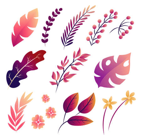 Big Vector set of tropical leaves, fall isolated illustration.のイラスト素材